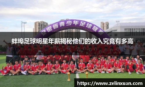 蚌埠足球明星年薪揭秘他们的收入究竟有多高