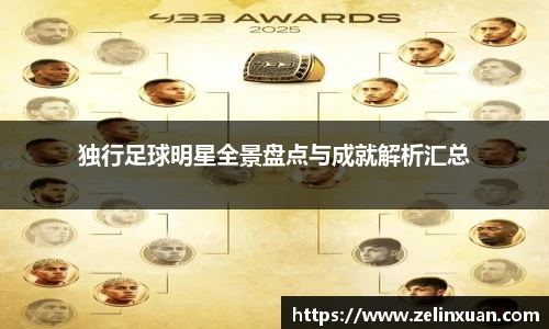 独行足球明星全景盘点与成就解析汇总