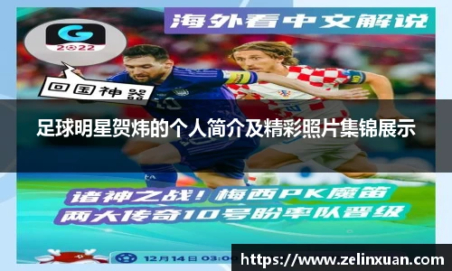 足球明星贺炜的个人简介及精彩照片集锦展示